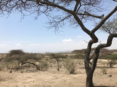 Somalia - Dürre